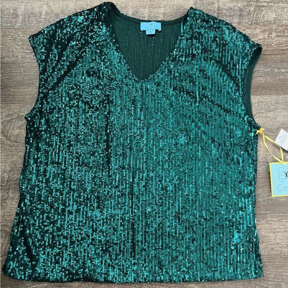 CeCe Sequined V-Neck Cap-Sleeve Green Blouse-Size Large - Picture 1 of 7